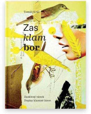 📚 Další knižní novinka je právě skladem! Titul Zasklambor. Hravá, imaginativní, ironická. Tohle chcete číst. Novinka...